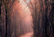 配资可靠炒股配资门户:配资网上开户论坛-中金公司：票房面临高基数影响 关注国产片弹性